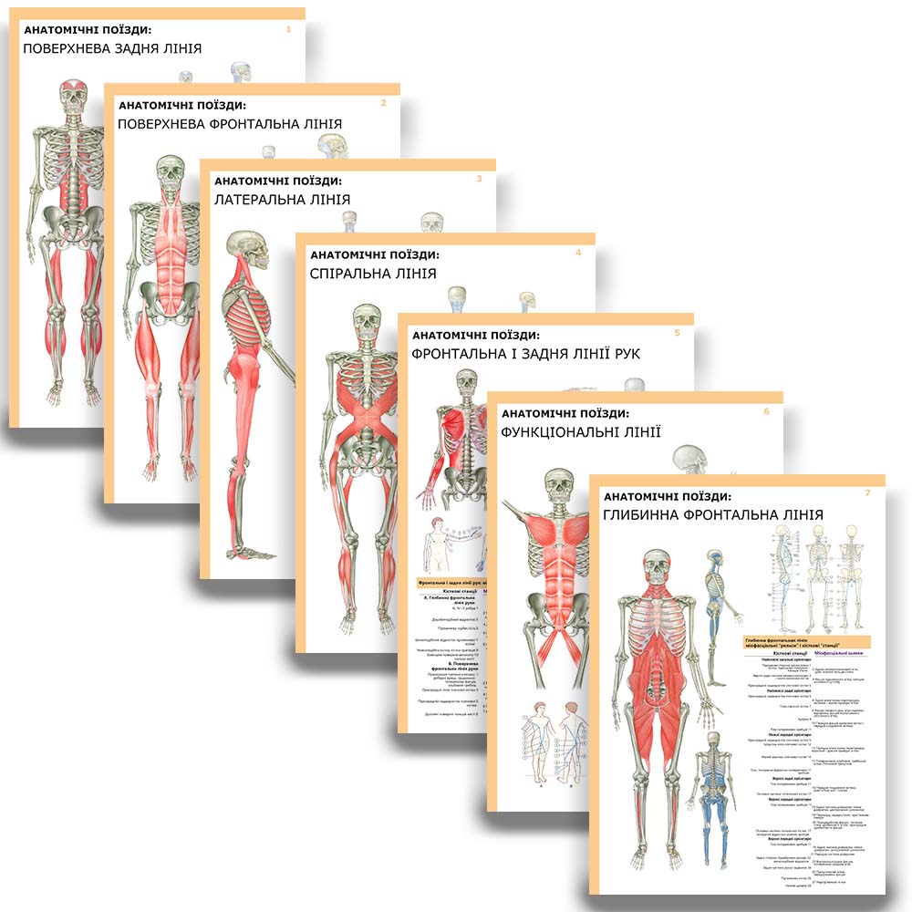 Комплект плакатів "Анатомічні поїзди" (з 7 частин)